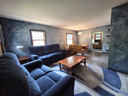 Super special feature! The living room, dining room, and main floor bedrooms, as well as much of the lower level have rigid core composite in-destructible floor with sound-proofing layer & laminate on the top.