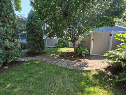 Here's one of a few service berry trees in the back yard. As well as privacy fence gate to the driveway & garage.