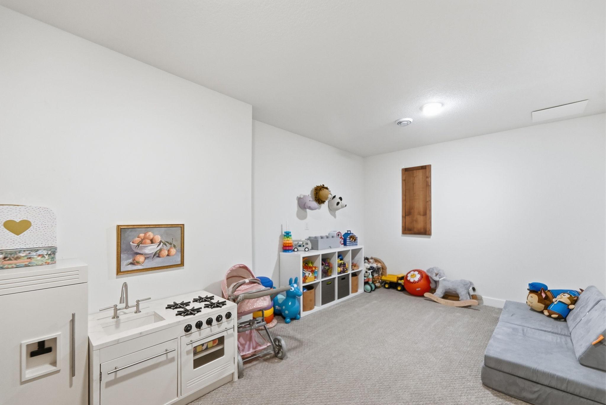 Flex room-Basement