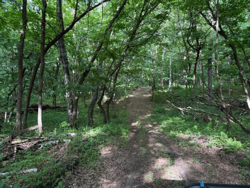 7105 140th Avenue SE, Clear Lake, MN 55319