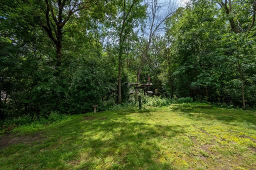 out the back is thick, serene setting