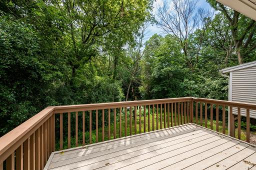 Deck is composite (railing is not)