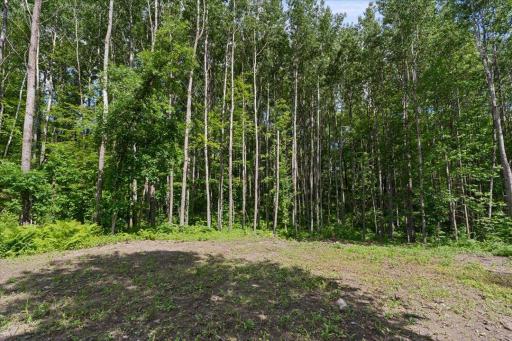 121 Ridgeway Path, Walker, MN 56484