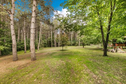 Backyard view!
