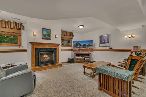 Lower Level family room