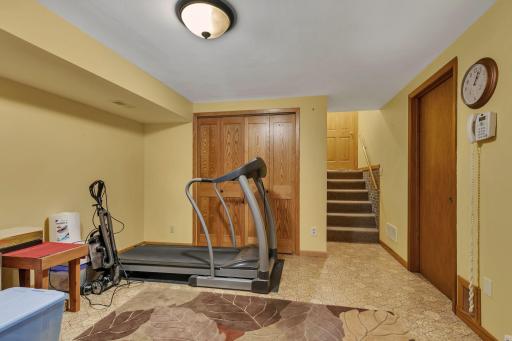 Basement Flex room