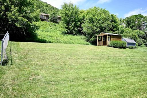 35 Back Yard.jpg