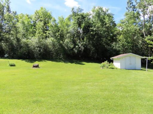 111 Bottinea back yard.jpg