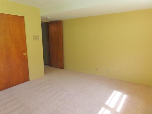 111 Bottineau BR 2 LL closet.jpg