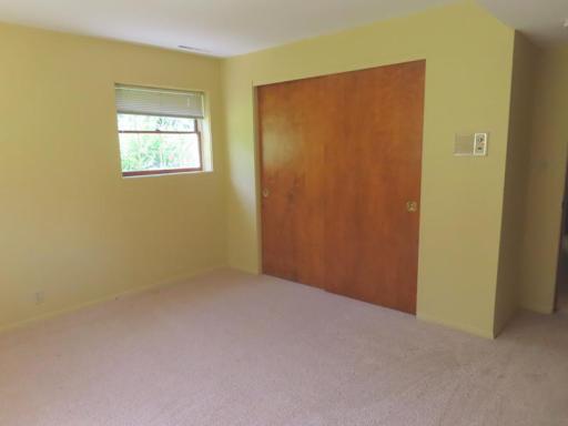 111 Bottineau BR 2 closet.jpg