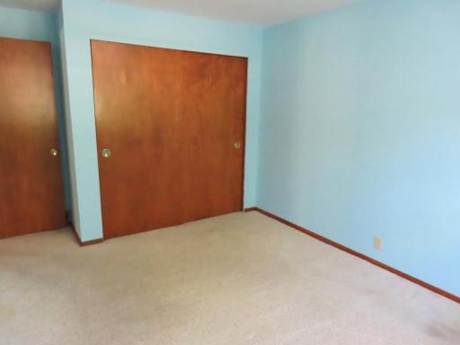 111 Bottineau LL BR 3 closet.jpg