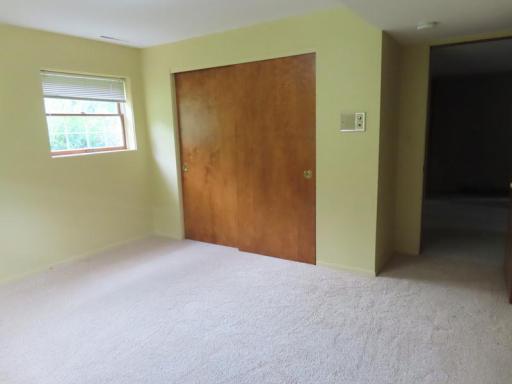 111 Bottineau LL br 2 closet.jpg