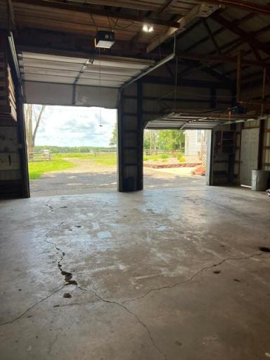 Inside the shed looking out.jpeg