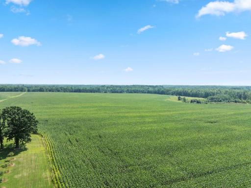 DJI_20250812101842_0105_D.jpg