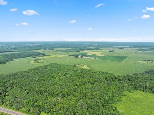 DJI_20250812102311_0124_D.jpg