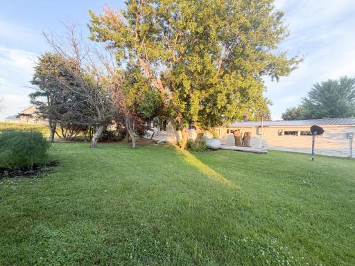 19667 Mccall Avenue, Reading, MN 56165
