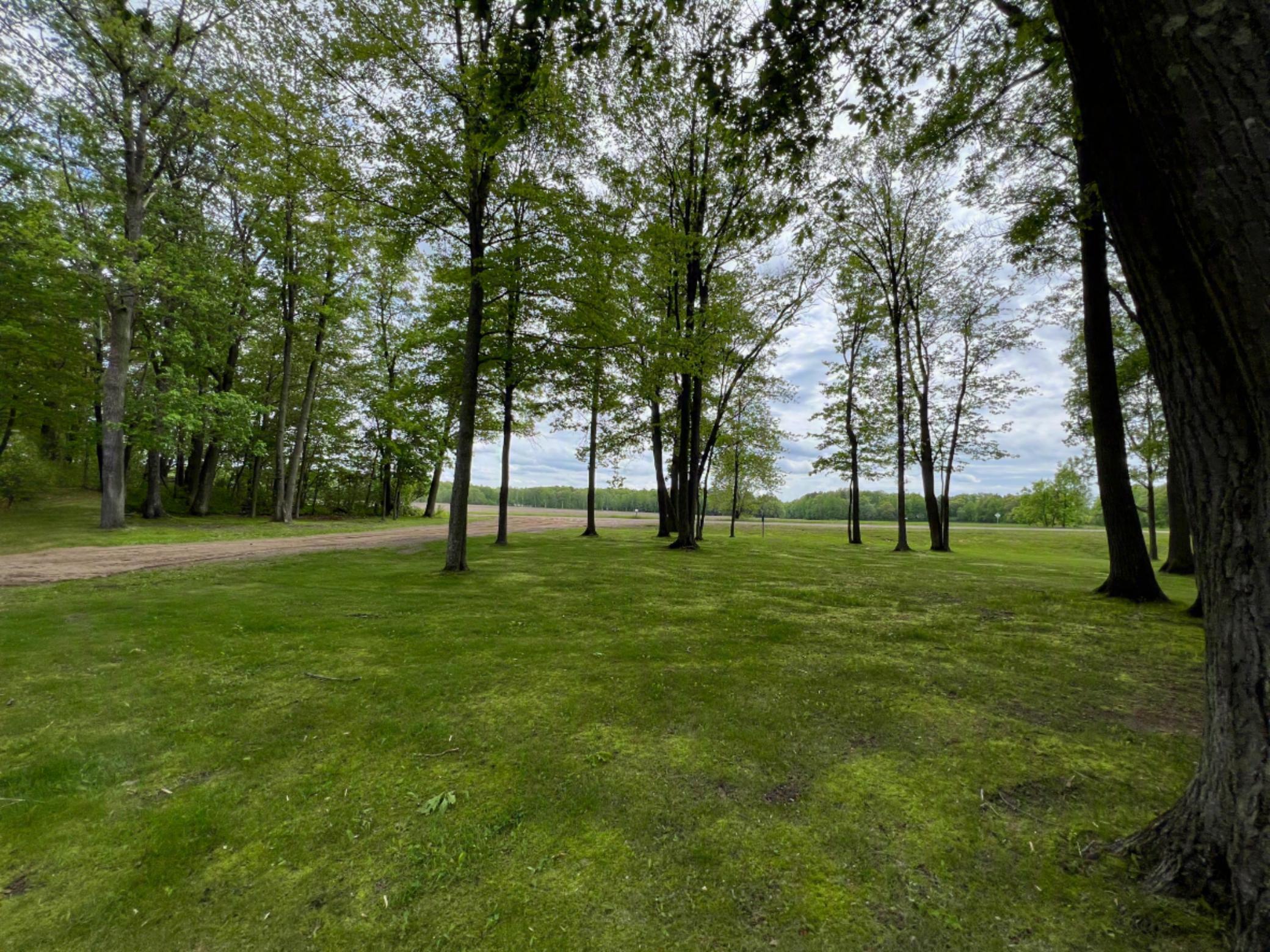Serene front yard that is nicely wooded.