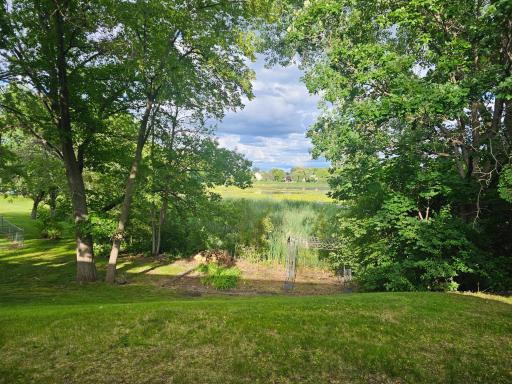 Beautiful Mature Trees, Lakeview and Backyard