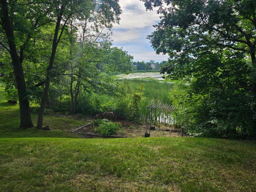 Beautiful Views of the lake & Sounds of Wildlife