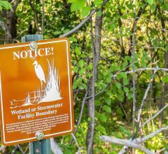 Lot 4 146th Terrace, Savage, MN 55378