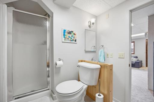 35743 Fawn Oaks Trail, Dent, MN 56528