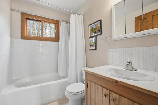 35743 Fawn Oaks Trail, Dent, MN 56528