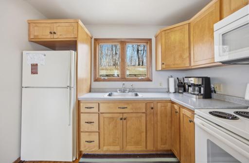 35743 Fawn Oaks Trail, Dent, MN 56528