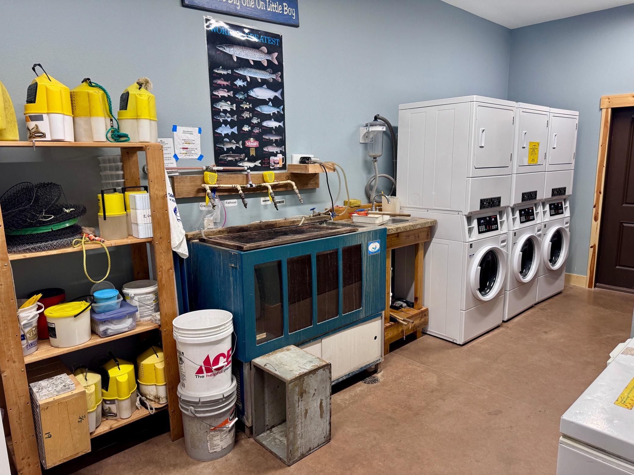 Bait:GuestLaundry.jpg