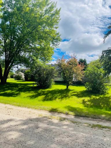 From road- lots of privacy trees