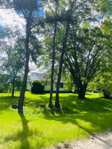 NW side of yard