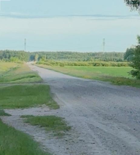 Beltrami Island State Forest just a mile away!