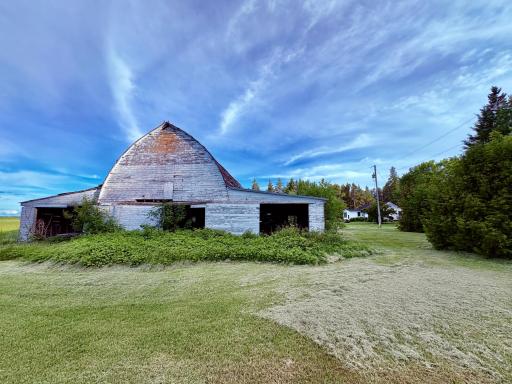Back of barn- lots of raspberries!