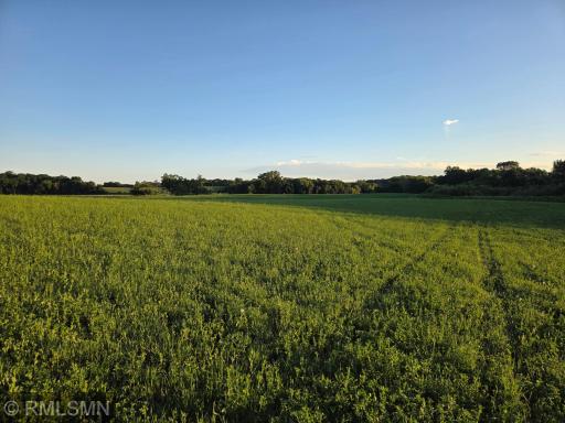18XXX 484th Lane, Waterville, MN 56096