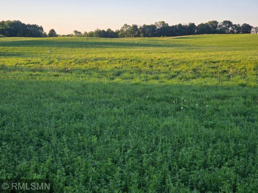 18XXX 484th Lane, Waterville, MN 56096