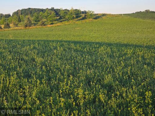 18XXX 484th Lane, Waterville, MN 56096