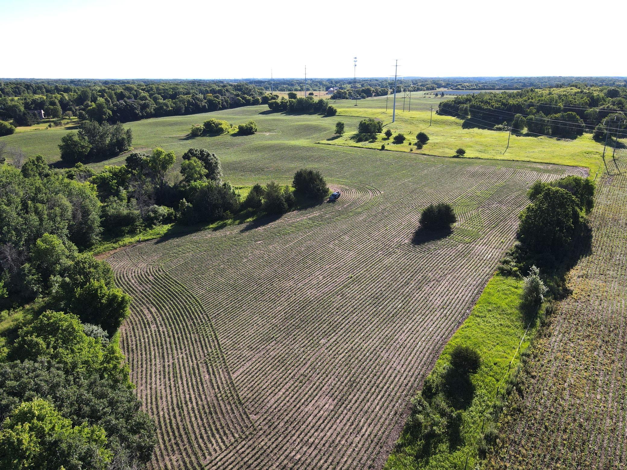 Over 50+ acres of productive tillable soil