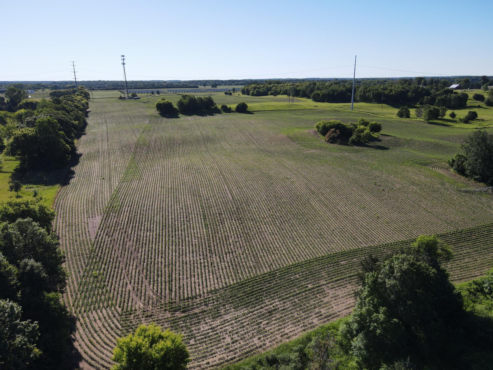 Income producing corn/beans