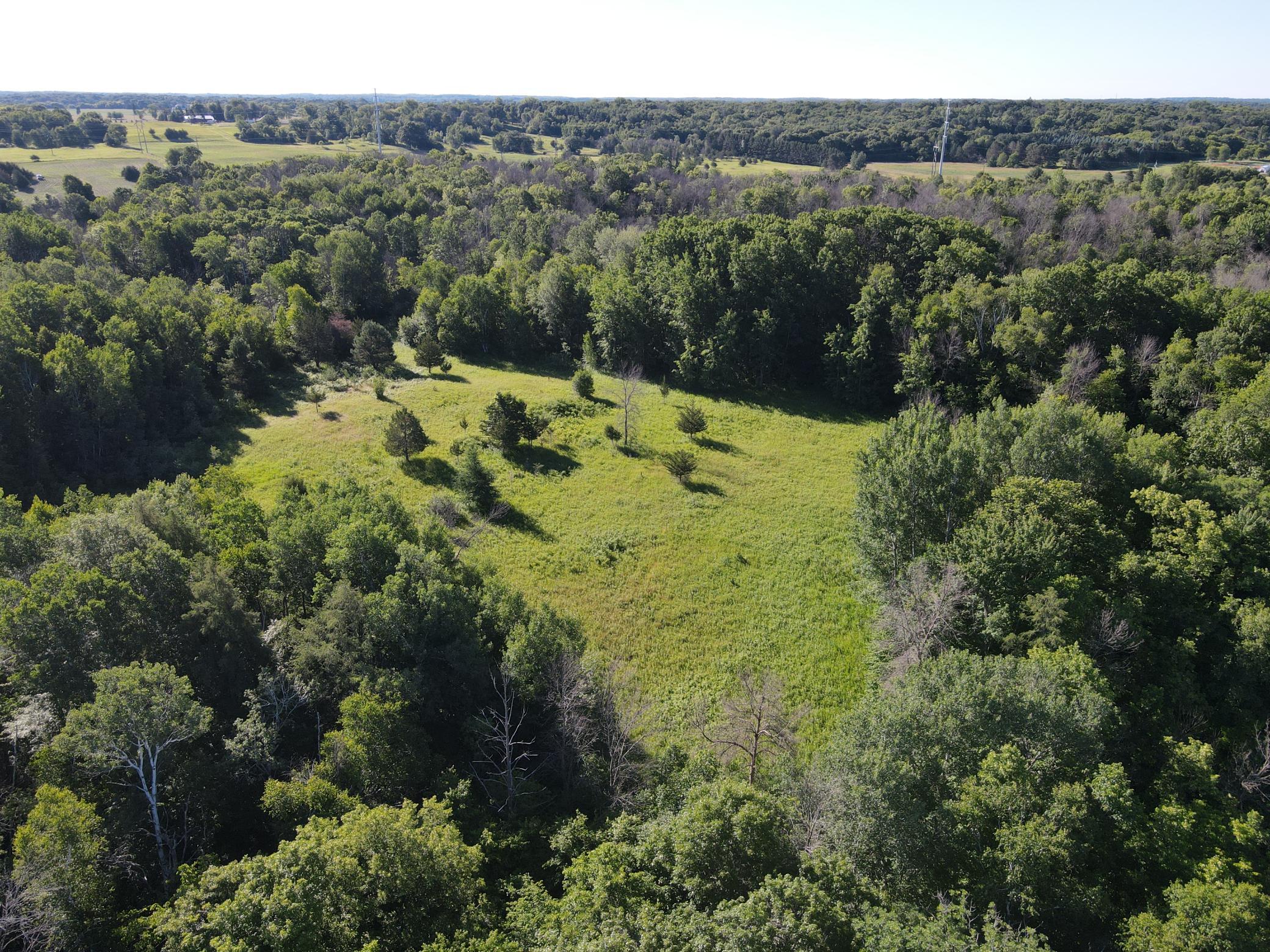 Quiet meadow in the SE corner