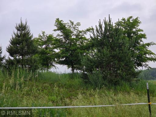 18222A 484th, Waterville, MN 56096