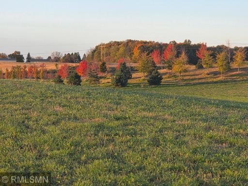 18222A 484th, Waterville, MN 56096
