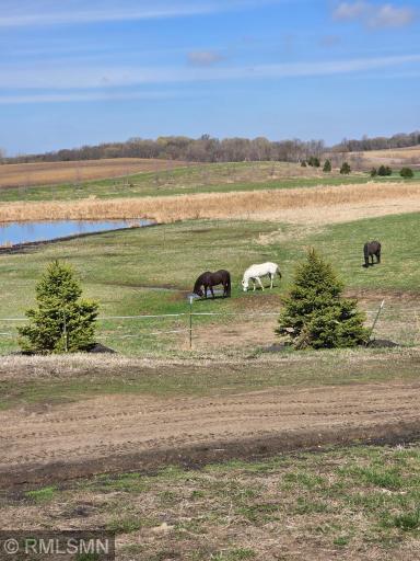 18222A 484th, Waterville, MN 56096
