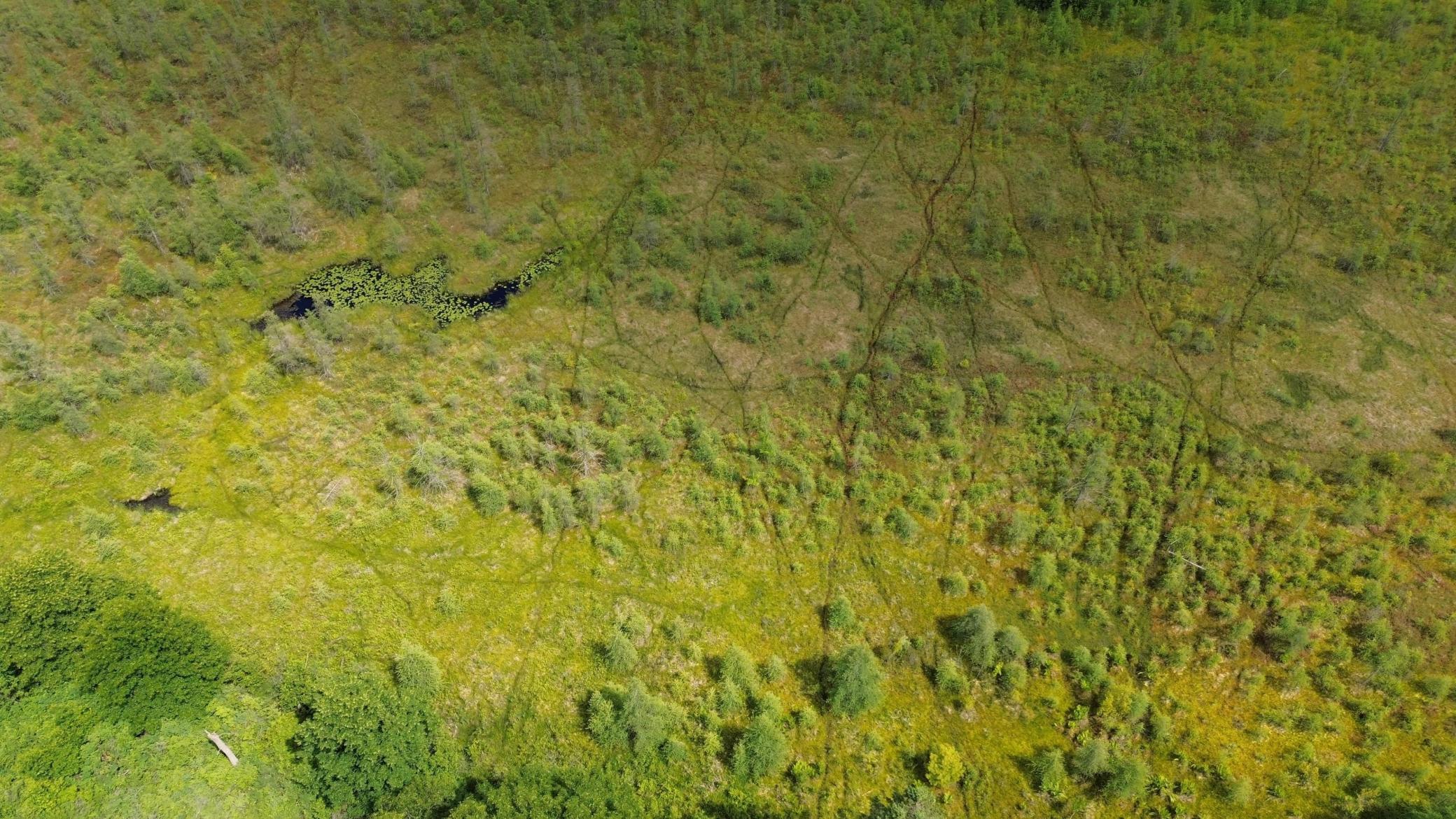 DJI_0667.JPG