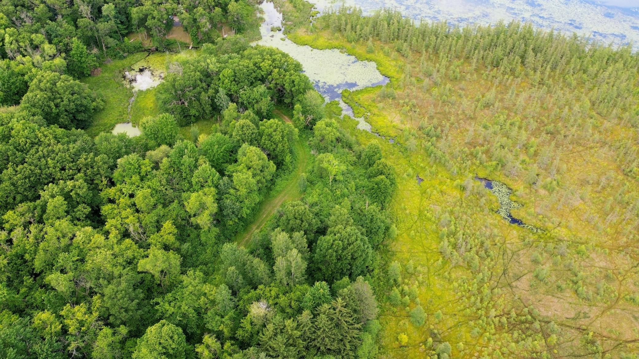 DJI_0664.JPG