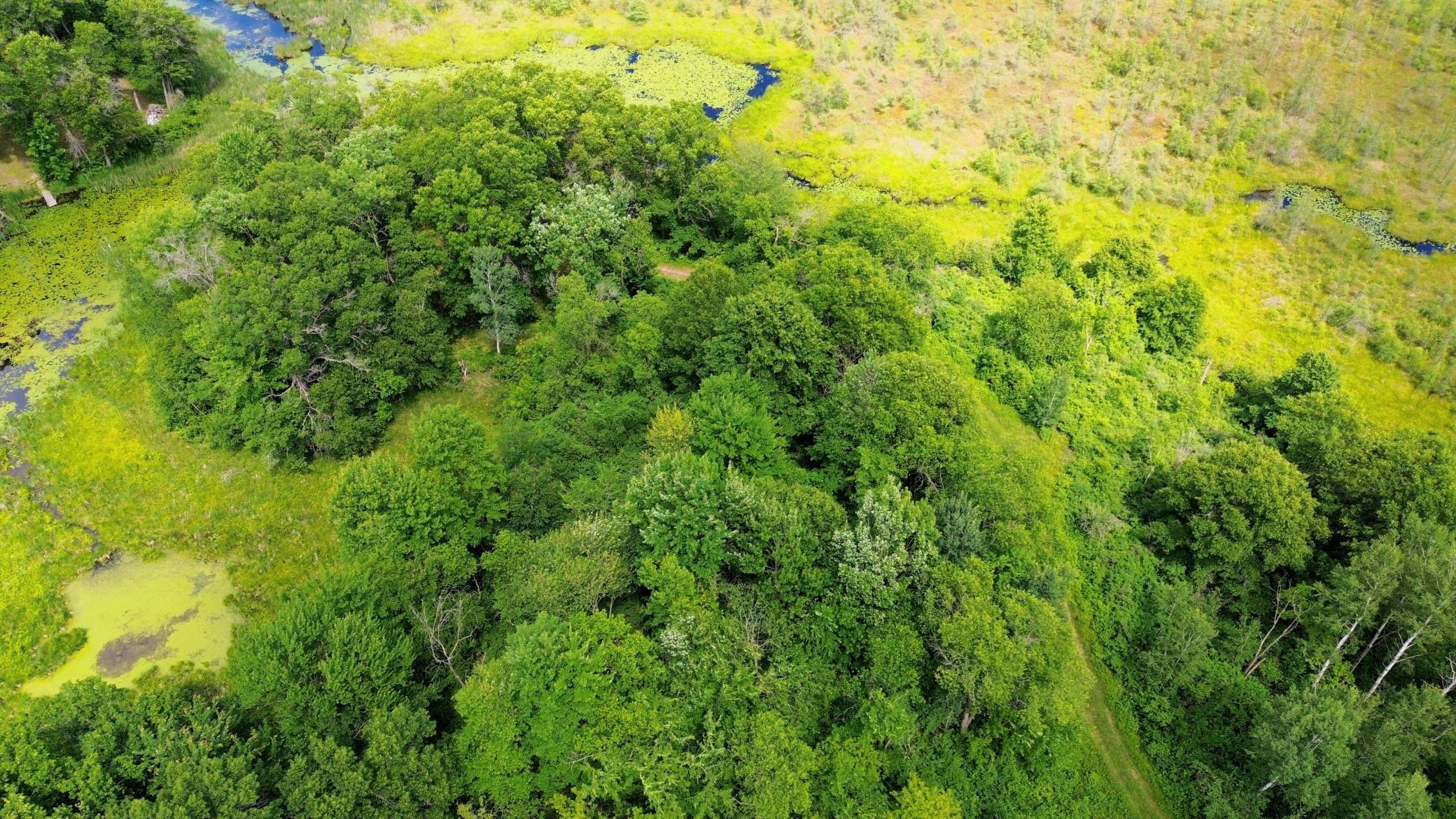 DJI_0661.JPG