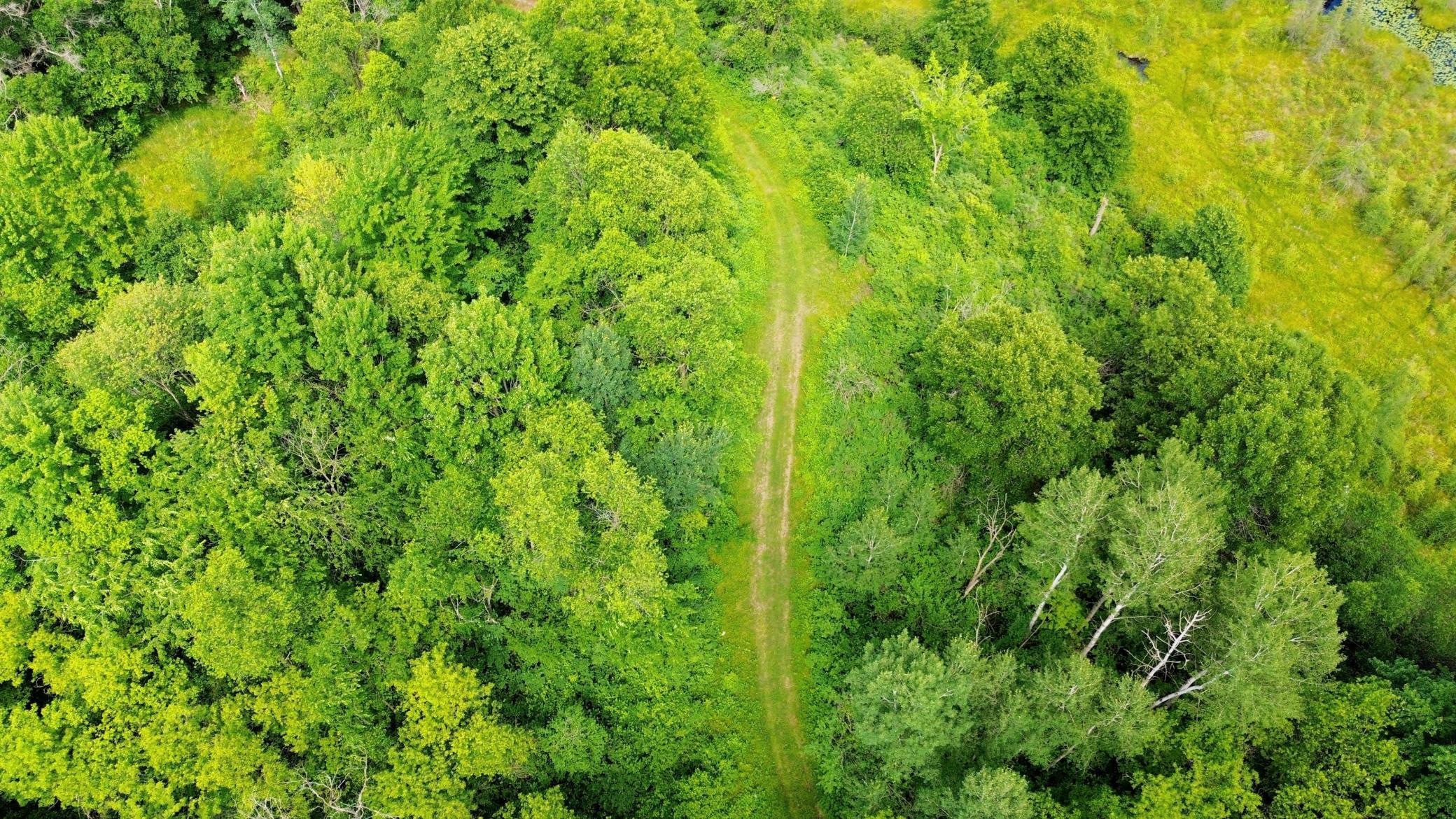 DJI_0666.JPG