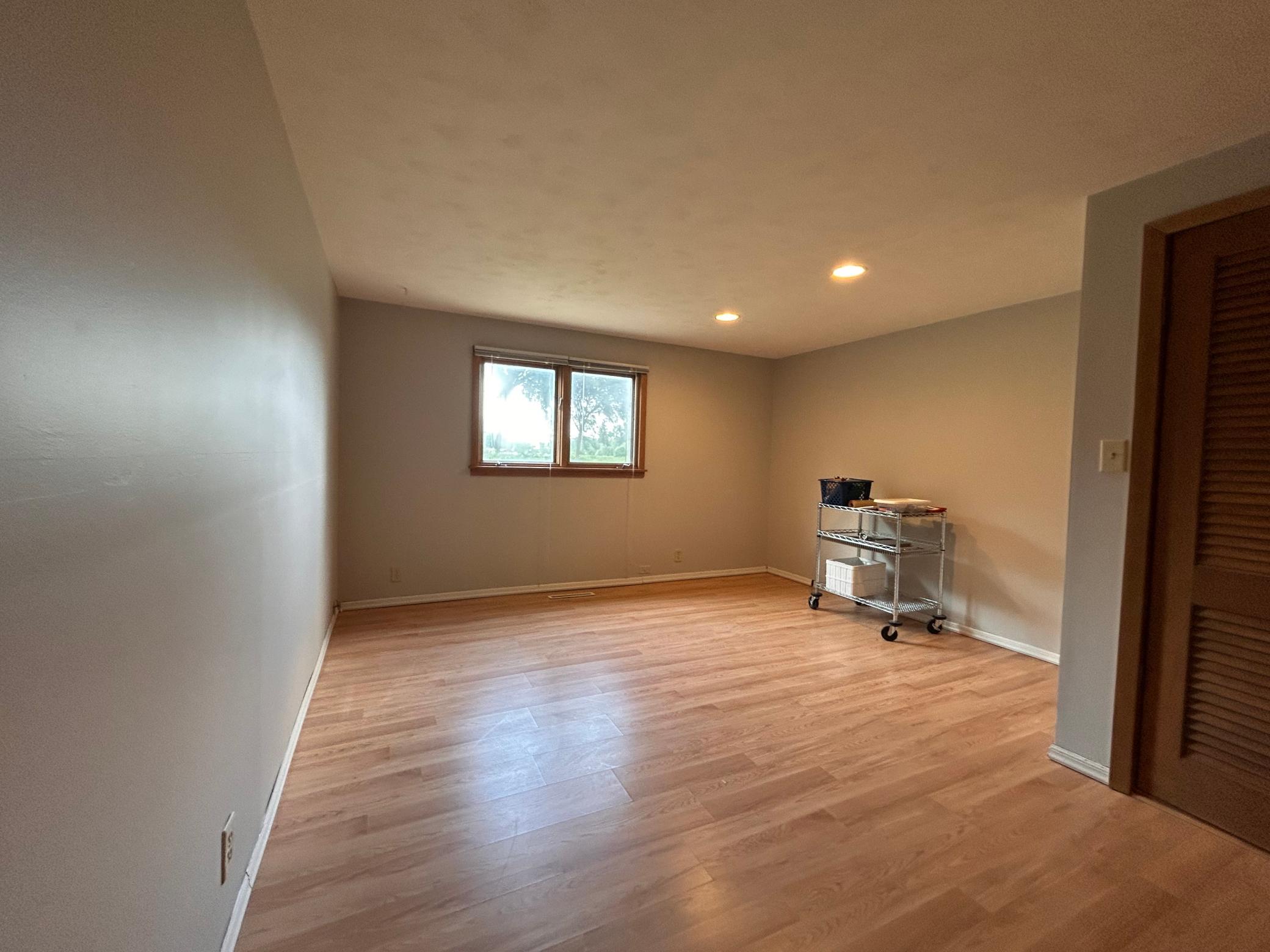 Lower Level Bedroom