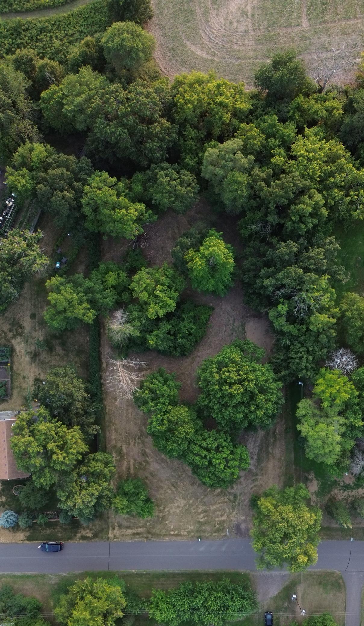 DJI_0948.JPG