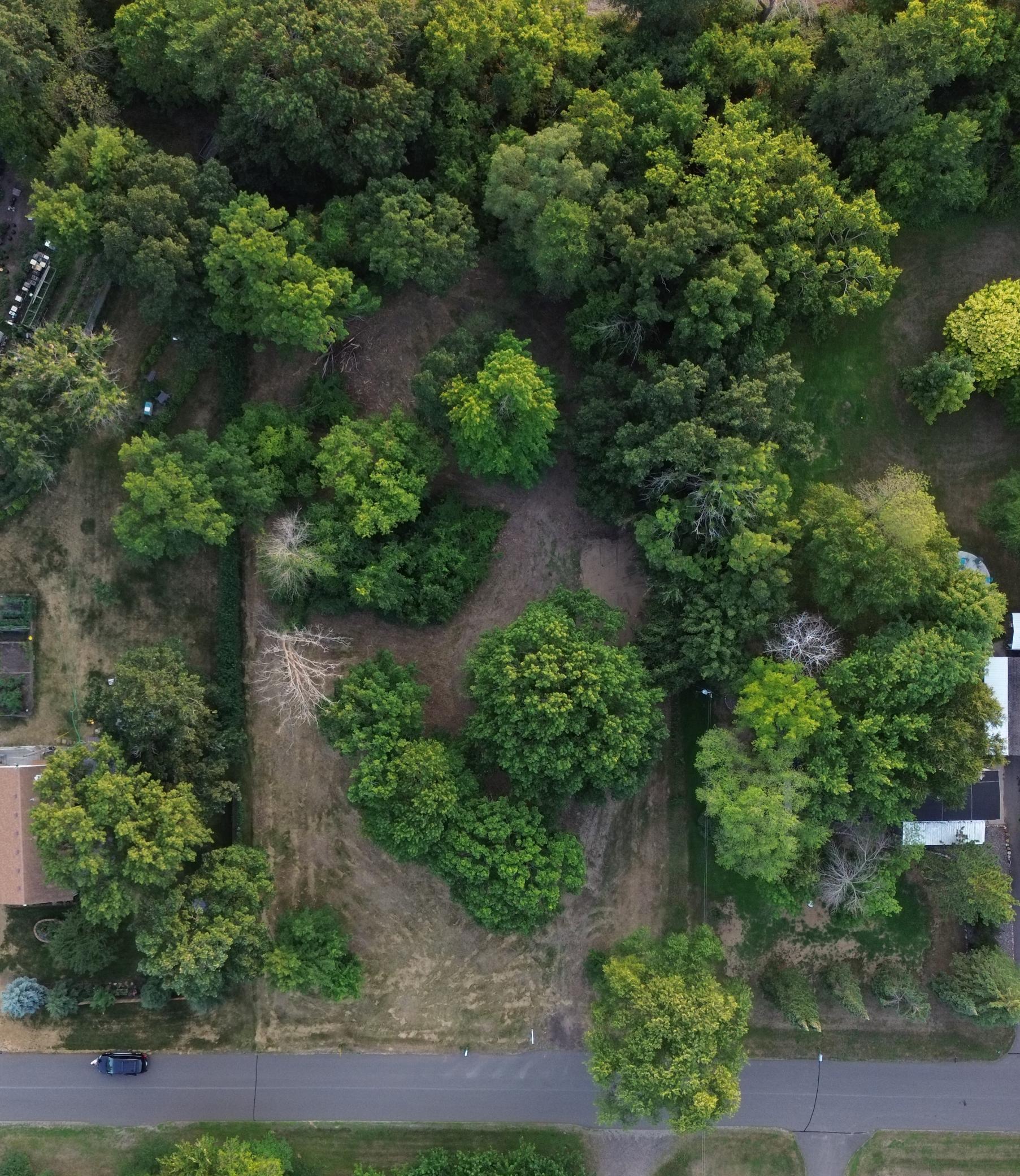 DJI_0945.JPG
