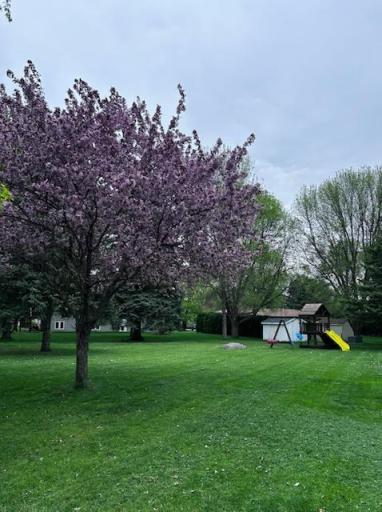 709 8th Avenue SE, Barnesville, MN 56514