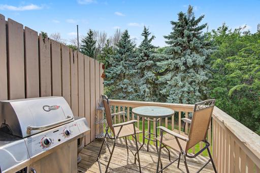 9211 Upland Lane N, Osseo, MN 55369